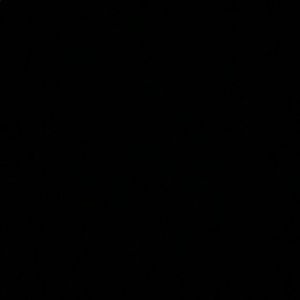 Meet your Posher, Daisy